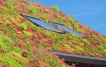 Upper Canterton living roof systems