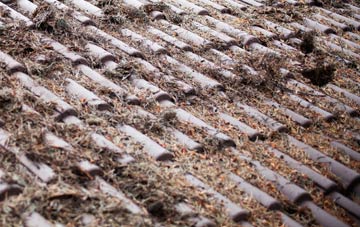 Upper Canterton roof cleaning companies