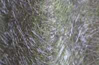 Upper Canterton fibreglass roof work